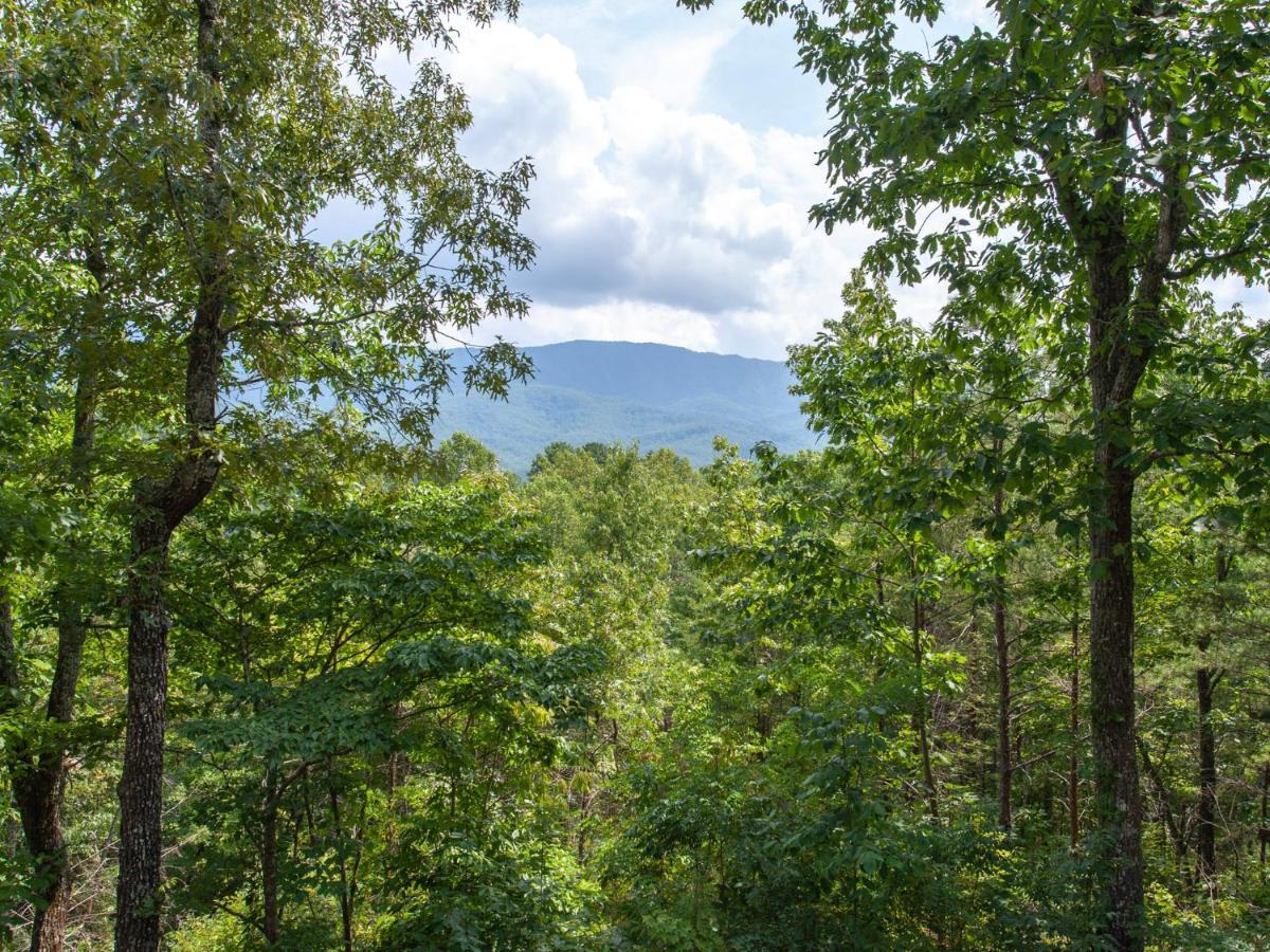 Вилла Mountain Charm Гатлинбург Экстерьер фото